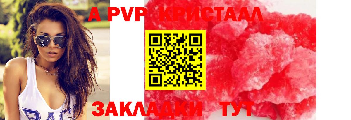 Alfa_PVP СК КРИС Обь